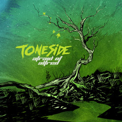 02 - Toneside - Afraid of Alfred