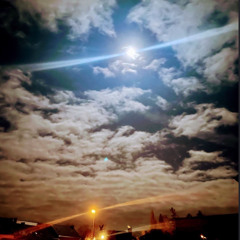 I will not be denied - UPC 5063826012669