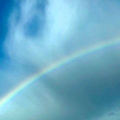 The sun and the rainfall - voxless cover