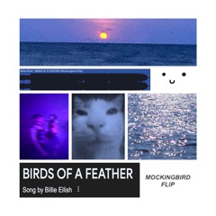 BIRDS OF A FEATHER (Mockingbird Flip)