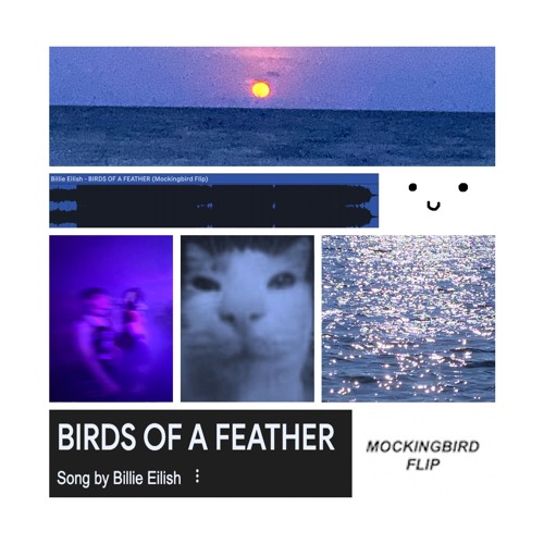 BIRDS OF A FEATHER (Mockingbird Flip)