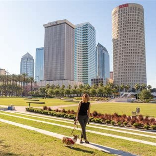 Stream 37 Top Incredible Tampa Riverwalk At Curtis Hixon Waterfront