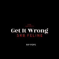 Get it wrong - SRB SHIESTY x SRB FELINE