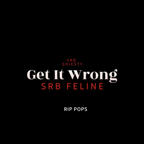 Get it wrong - SRB SHIESTY x SRB FELINE
