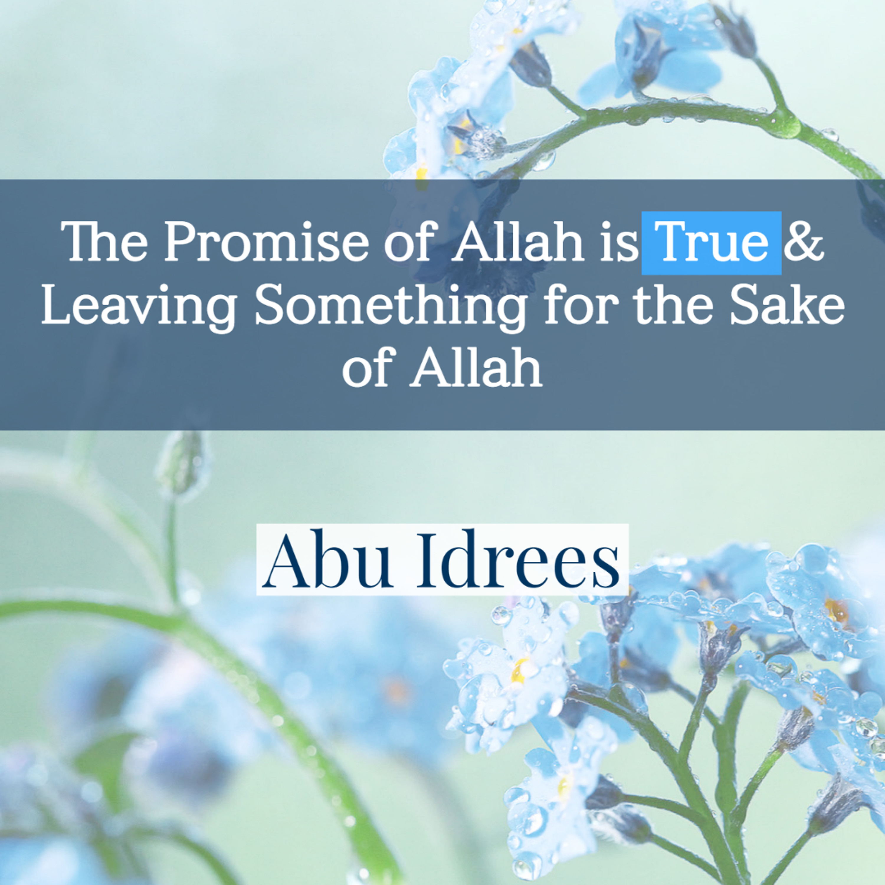 The Promise of Allah is True & Leaving Something for the Sake of Allah - Abu Idrees | Manchester episode artwork