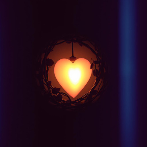 My Heart's Home