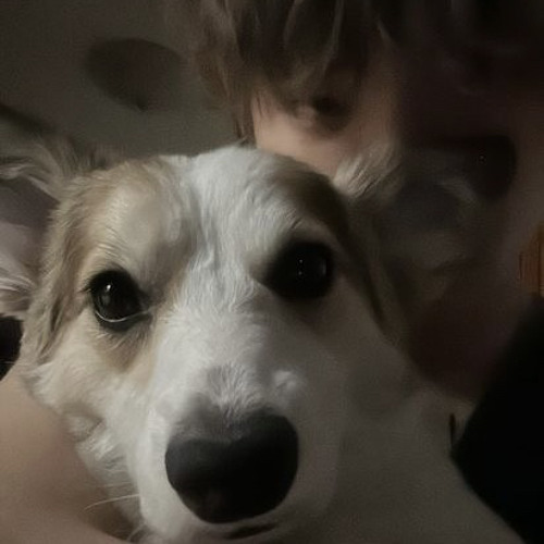 노엘 미공개곡 (feat.존오버) | 류정란 유튜브