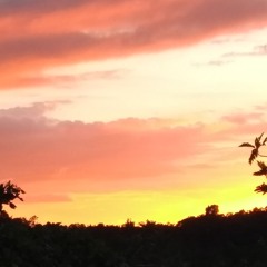 Miniscule Cumulus Nebulas