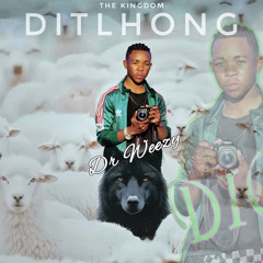 Ditlhong