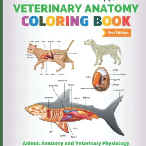 [Read] EBOOK 📂 Veterinary Anatomy Coloring Book: Animal Anatomy and Veterinary Physi