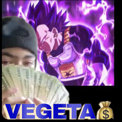 Mikesosa302- vegeta (prod. by RASWERVE)