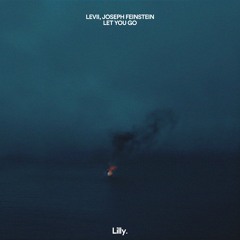 LEVII, Joseph Feinstein - Let You Go