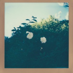 ya i nemnozhko tsoya