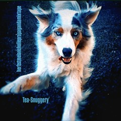 Tea Snuggery - Herbstzeitmelancholiepropagandamixtape (2024)
