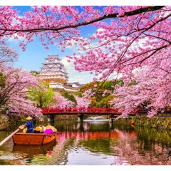 LayedSoul - Sakura