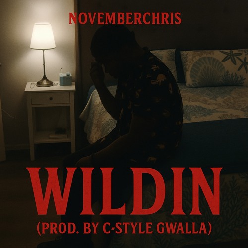 Wildin (Prod. C-Style Gwalla)