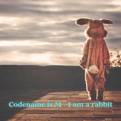 Codename Is M   –   I am a rabbit