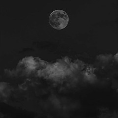dancing in the moonlight (minlee chill edit) (more bass performance)