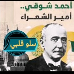 سلو قلبي . أحمد سوقي.m4a