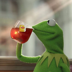 kermit sings songs (time passing through kaden mckay but as kermit cover)