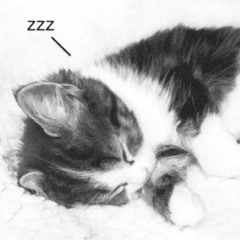 𓈒ּུ𓂃༷𓂂ּׅ۟🐾