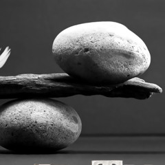 Black Gummy (no vox)