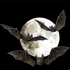 GL4 Spaz - Fukked Up*+!