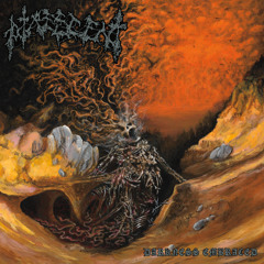 Spectral Sanctum