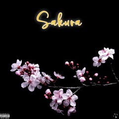 Vulgo S - Sakura