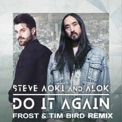 Steve Aoki & Alok - Do It Again (Frost & Tim Bird Remix)