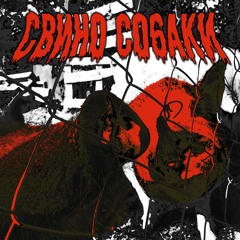 свино собаки