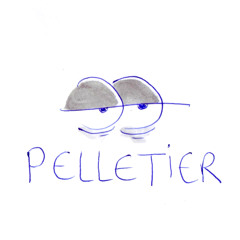 CLIC CLIC BALLE À BLANC - Mr GISCARD (PELLETIER Edit)