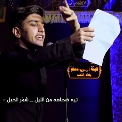 لو ما عيون العباس | مسلم الوائلي | 1442