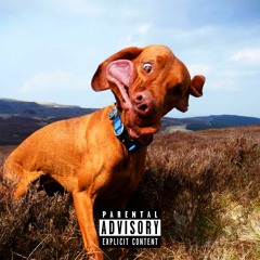 I SUCK DICK (no homo)