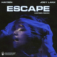 Hayden & Joey Lanx - Escape (Hayden Remix)