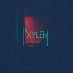 Novelty @ Xylem 05/01/2023