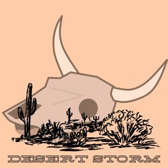 Desert Storm prod. by HVLL