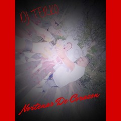 Nortenas De Corazon (Dj Terko) 2025