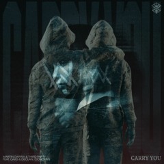 Martin Garrix & Third Party vs. Alan Walker - Carry You vs. Hero (Walker89183 VIP Mashup)