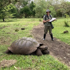 Ep. #307: Curiosity & Nature Journaling, with John Muir Laws