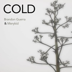 Cold (brandon guerra + merykid)