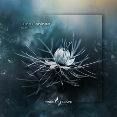 Telescape Series 07 - Luna Canidae