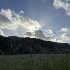 Man of constant sorrow