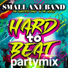 Small Axe Band - Hard To Beat (Party Mix) - Wilders 2024 (1)