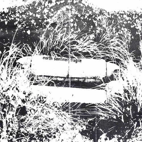 North Sentinel,Fragile - If Kurt Cobain Were Here, Courtney Love Wouldn't Had Done It For Him