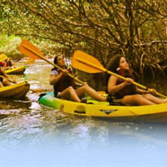 Review Special Price Bio Bay Kayak Tour In Fajardo