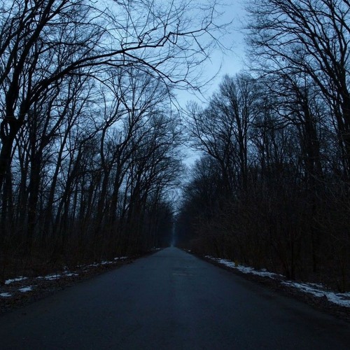 Calming Playlist