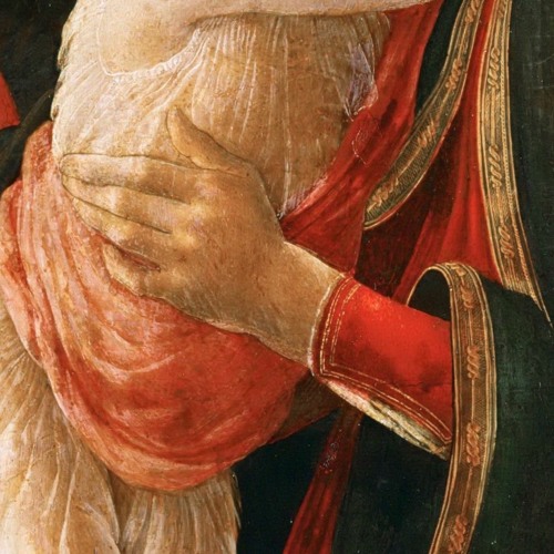 Salve Virgo Singularis