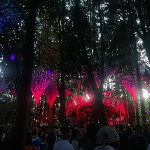 BUSH BANGING Liam F 2025