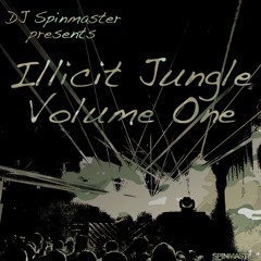 Dee Patten - Who's The Jungle Bad Man (DJ Spinmaster Bootleg)